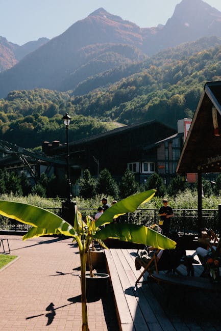 pexels-photo-28928003